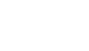 Digital Durham logo in white
